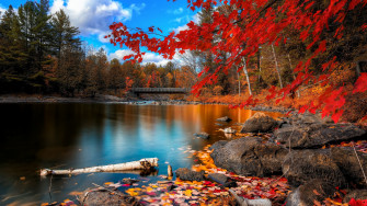 Wallpaper Autumn Lake Forest 4k Nature