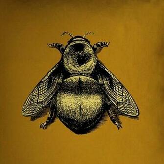 Creative Sketchbook Timorous Beasties Contemporary Wallpaper Art
