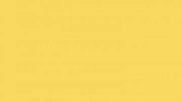 Royal Yellow Solid Color Background