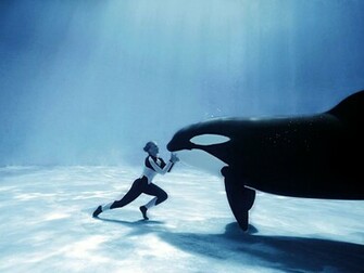 Humpback Whale Photo Wallpaper