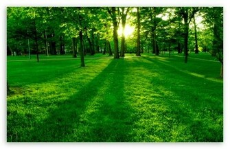 Wallpaper HD For Desktop Full Screen Park