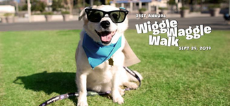 Wiggler S News Pasadena Humane Society Spca
