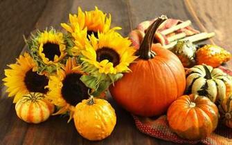 Wallpaper Autumn Pumpkin Sunflower Harvest Still Life Desktop
