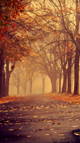 Autumn iPhone Plus K7spkg1nvehp4ew6 Wallpaper