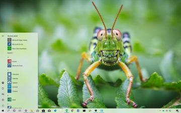 Smiling Creatures Theme For Windows Pureinfotech
