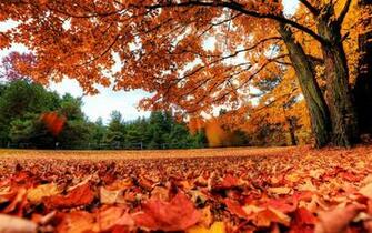 Fall Computer Wallpaper Net