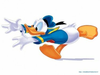 Donald Duck Wallpaper Jpg
