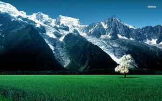 Beautiful Mountain Meadow Wallpaper Nature