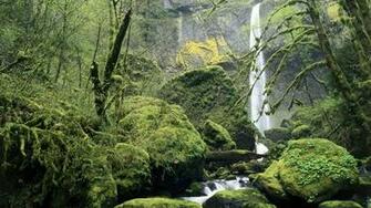 Scenic River Gorge Stream Waterfall Trees