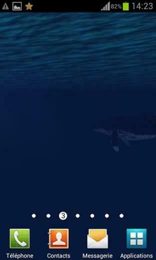 Ocean Whale Live Wallpaper Show Unbelievable Beauty Of The