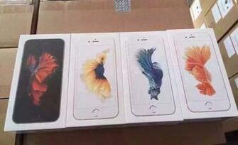 Fish Comes From But The Original iPhone S Wallpaper Featured A
