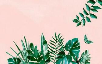 Plant Aesthetic Laptop Wallpaper Top