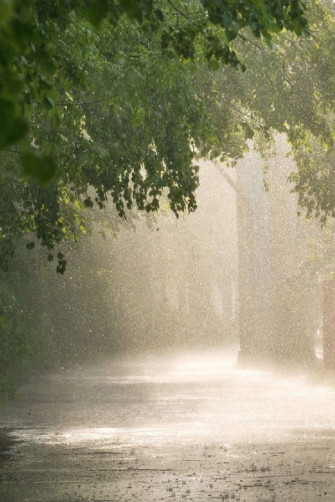Hannah Ganeeva On Spring Summer Rain Rainy Day
