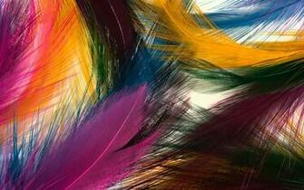 Desktop Peacock Feather Background