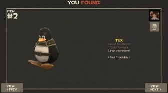 Install Ubuntu Steam Tf2 Under Virtualbox On Windows To Get