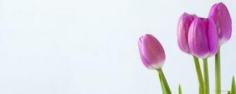 Pleasant Dual Screen Nature And Spring Wallpaper Multy Shades