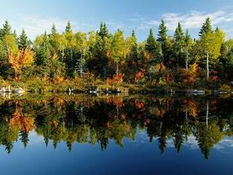Reflections Photos Pictures Wallpaper