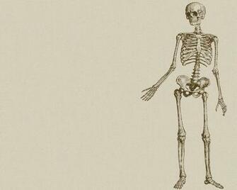 Skeleton Computer Wallpaper Desktop Background