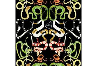 One Kings Lane Snakes On Black Wallpaper By Voutsa