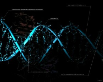 Dna Molecule Wallpaper Full HD