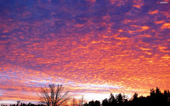 Morning Sky Wallpaper On