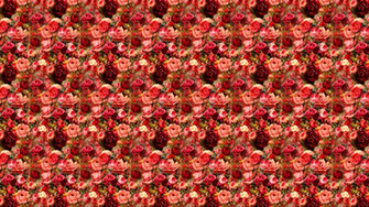 This Rose Garden Desktop Wallpaper Is Easy Just Save The