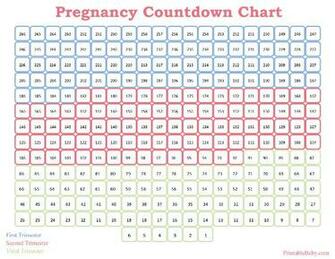 Pregnancy Countdown Quote Image