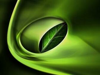 High Definition Wallpaper