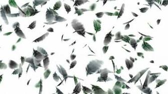 Falling Feathers Wallpaper Thewomenmenadore