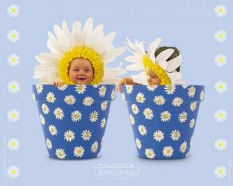 Anne Geddes Wallpaper By Wallpapercave