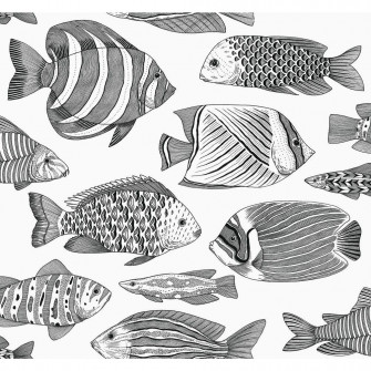 A Street Prints Wailea Black Tropical School Wallpaper Sample