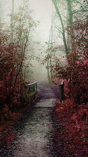 Wow Which Nature iPhone Plus Wallpaper Is Your Favourite Fashion