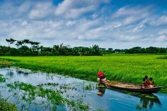 Bangladesh Nature HD Windows Wallpaper