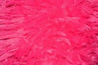 Pink Fur Colorful Background Nap Stock Photo HD Public Domain