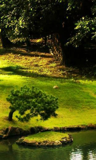 Zen Garden Live Wallpaper Android Apps On Google Play