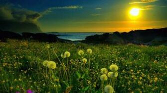 Ultra HD Wallpaper Wallpaper9