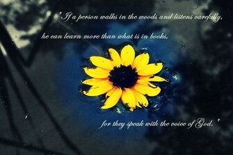 Nature Wallpaper With Quotes