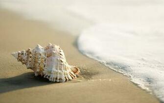 Nature Wallpaper Collection Zip Cool Walldiskpaper