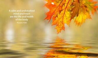Desktop Background Finals Weeks Bible Verses Proverbs Photo
