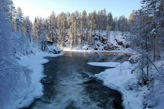 Landscape Landscapes Nature Winter Seasons Snow Forest Scenic Scenery