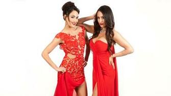 Wwe Divas Bella Twins Hot Babes HD Wallpaper