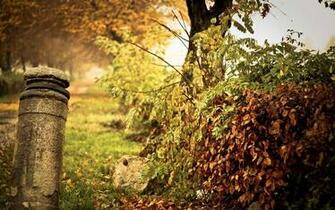 Nature Wallpaper Vintage