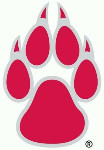Pic2fly Unm Lobos Everyone A Lobo Html
