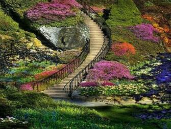 Beautiful Garden Wallpaper