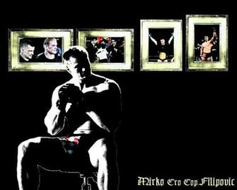 Mirko Cro Cop Filipovic Mma Wallpaper
