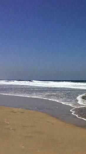 Buzz S iPhone Wallpaper Imperial Beach California