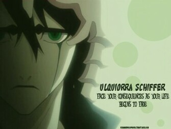 Ulquiorra Schiffer Is Espada Cuatro In Aizen S Army Of