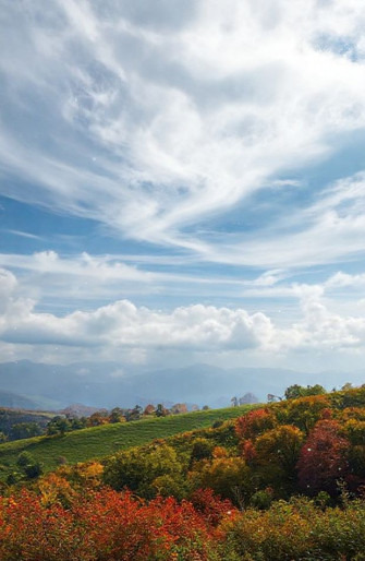 Windows Live Weather Wallpaper