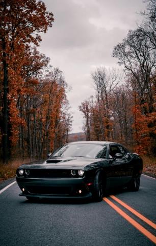 Dodge Challenger Pictures Image