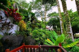 Butterfly Garden Wallpaper